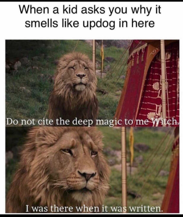 What's updog? - meme
