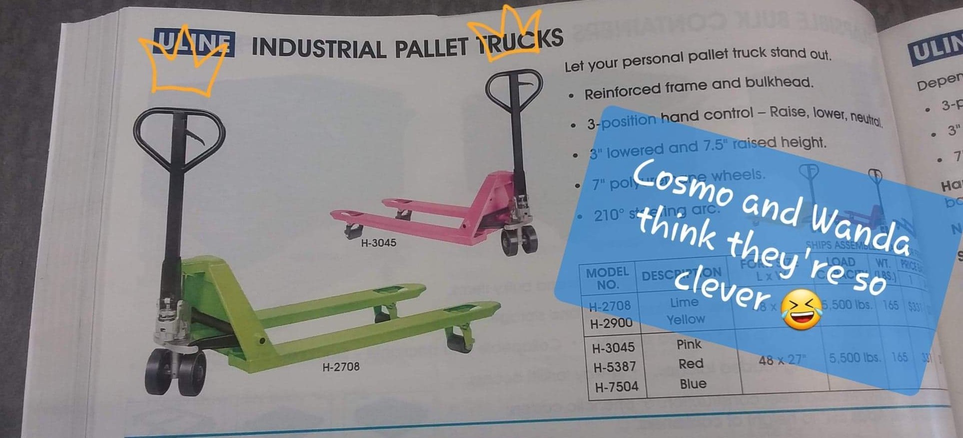 Found this in a Uline catalog - meme