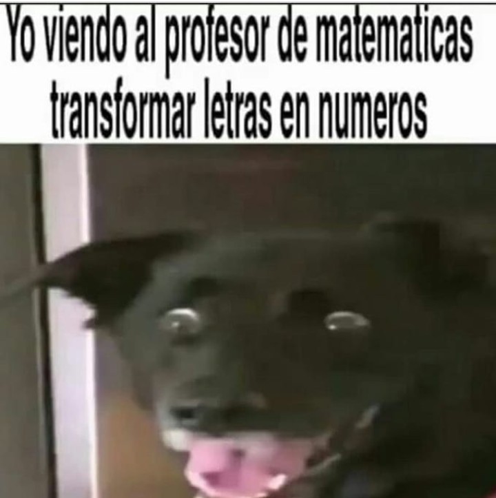 Profesores hdp - meme