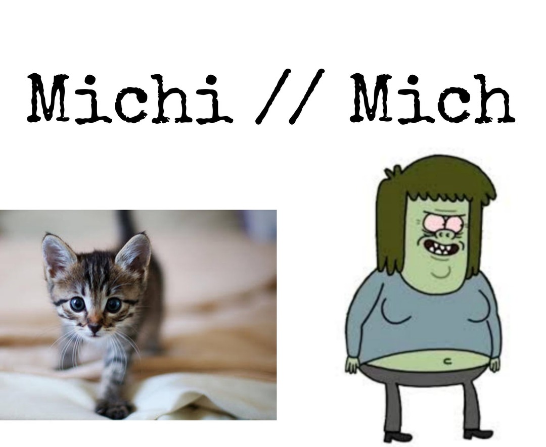 ¿Sabes quien también se llama Mich? - meme