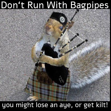 Wisdom of the Scots - meme