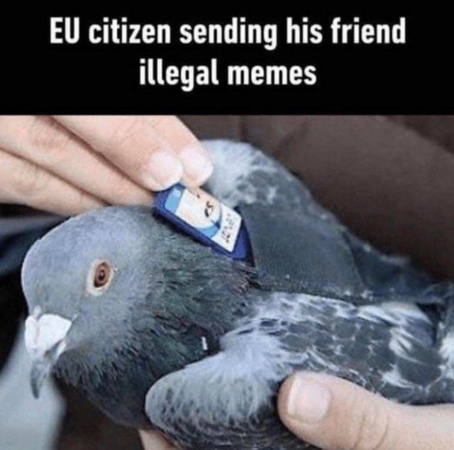EU citizen sending his friend illegal memes