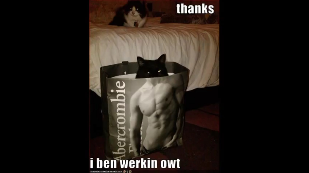 Thanks I've been working out - meme