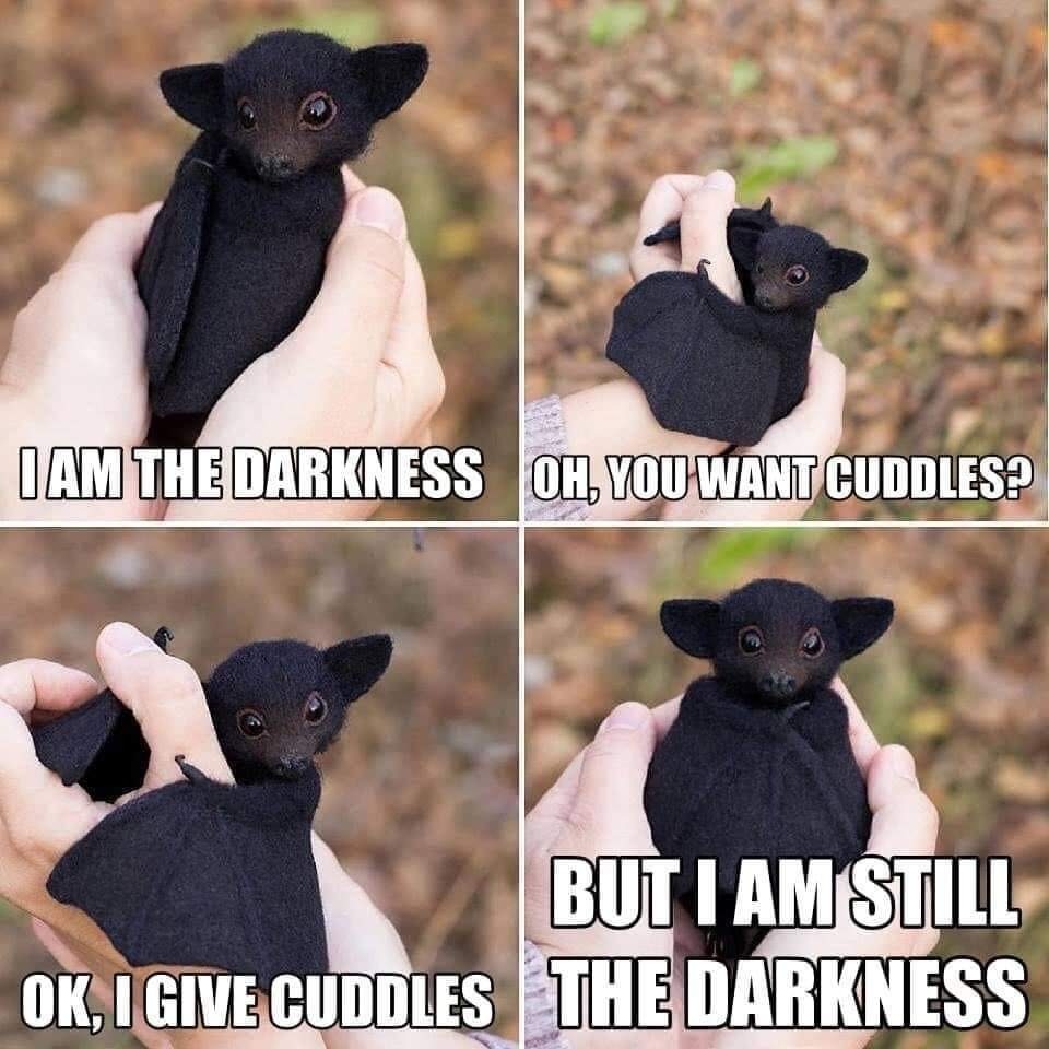 Cuddly darkness - meme