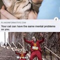 Your cat can have the same mental problems as you