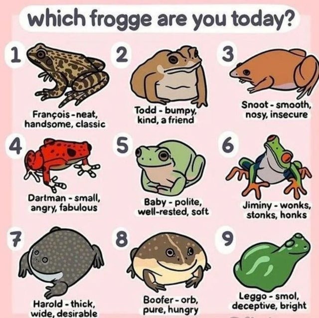 Which frogge are you today? - meme