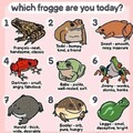 Which frogge are you today?