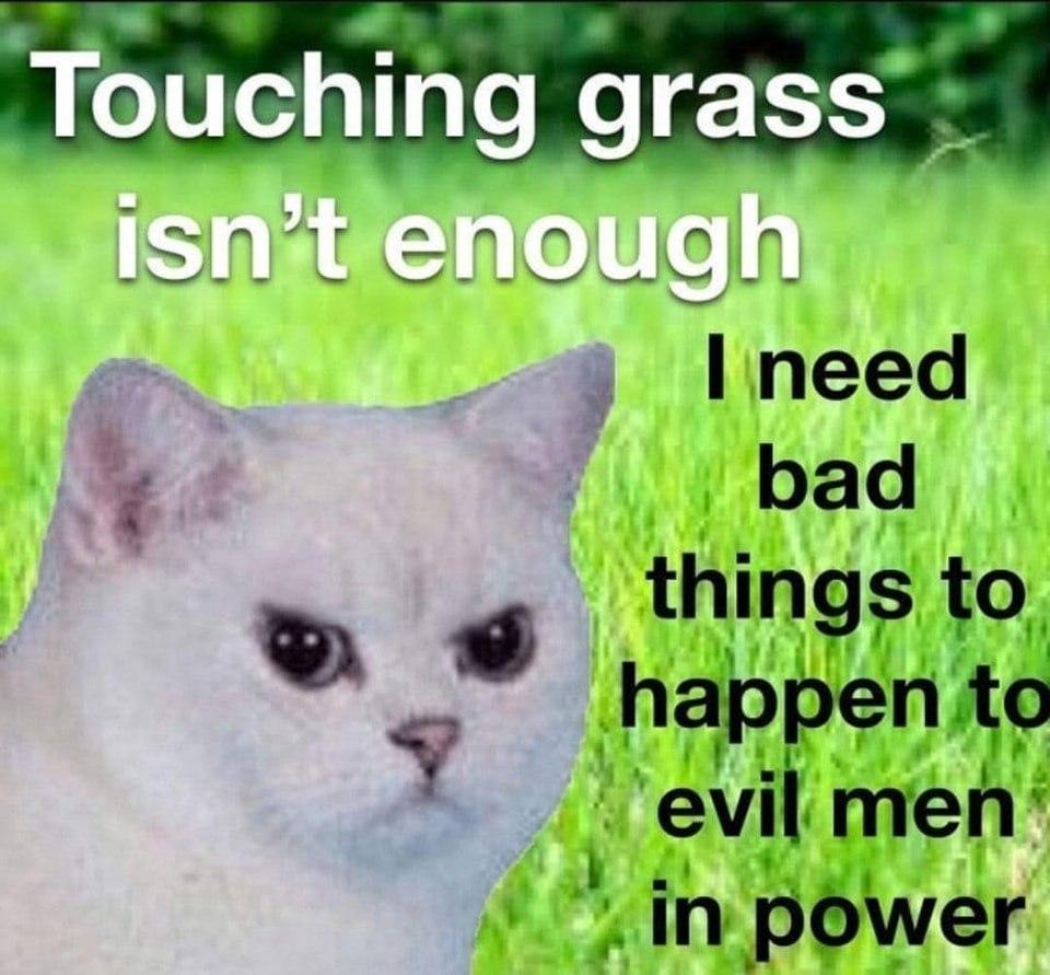 touching grass is not enough - meme