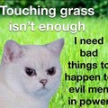 touching grass is not enough