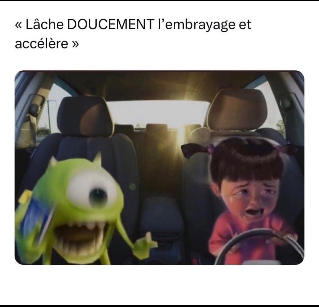 Insérer doucement l'accélérateur - meme