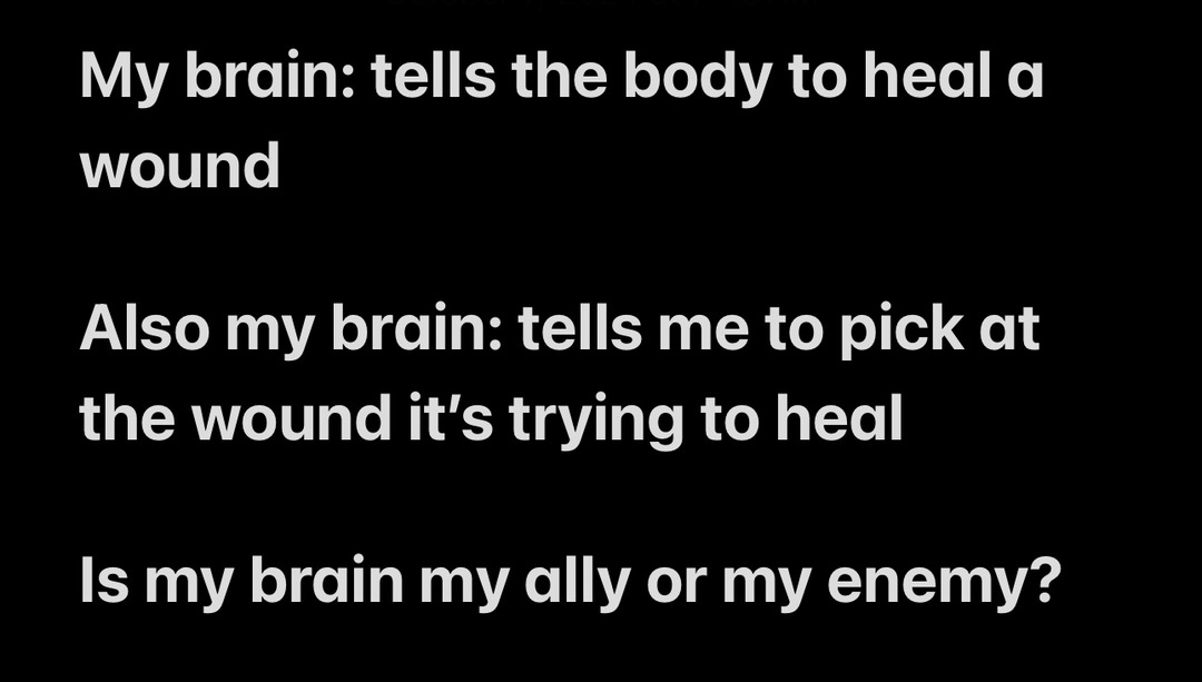 my brain is trying to kilo me - meme