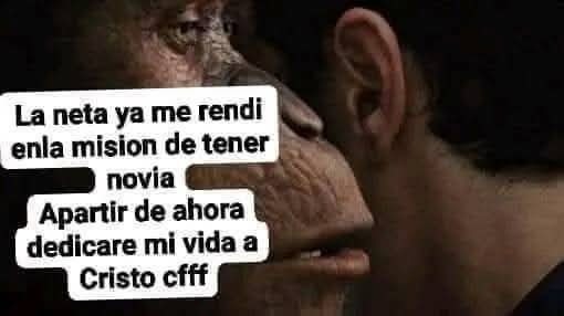 D - meme