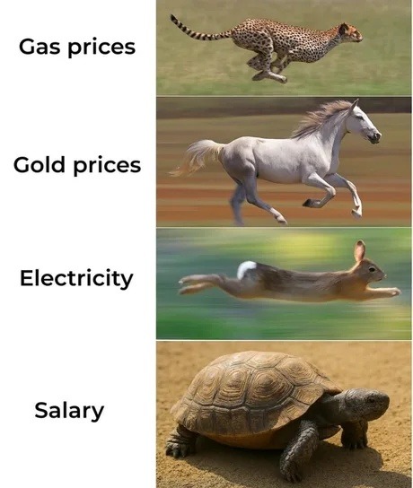 The best Salary memes :) Memedroid