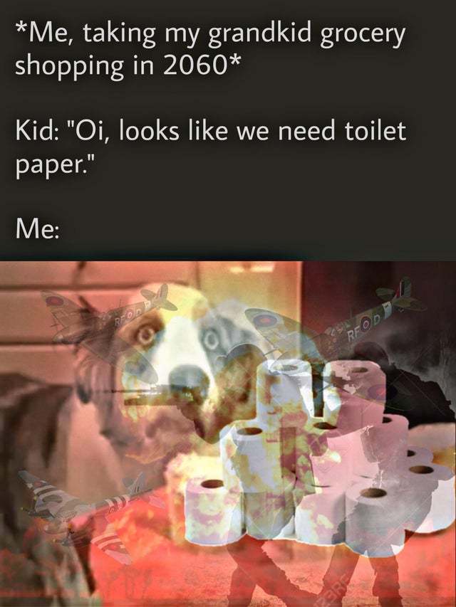 Looks like we need some toilet paper - meme