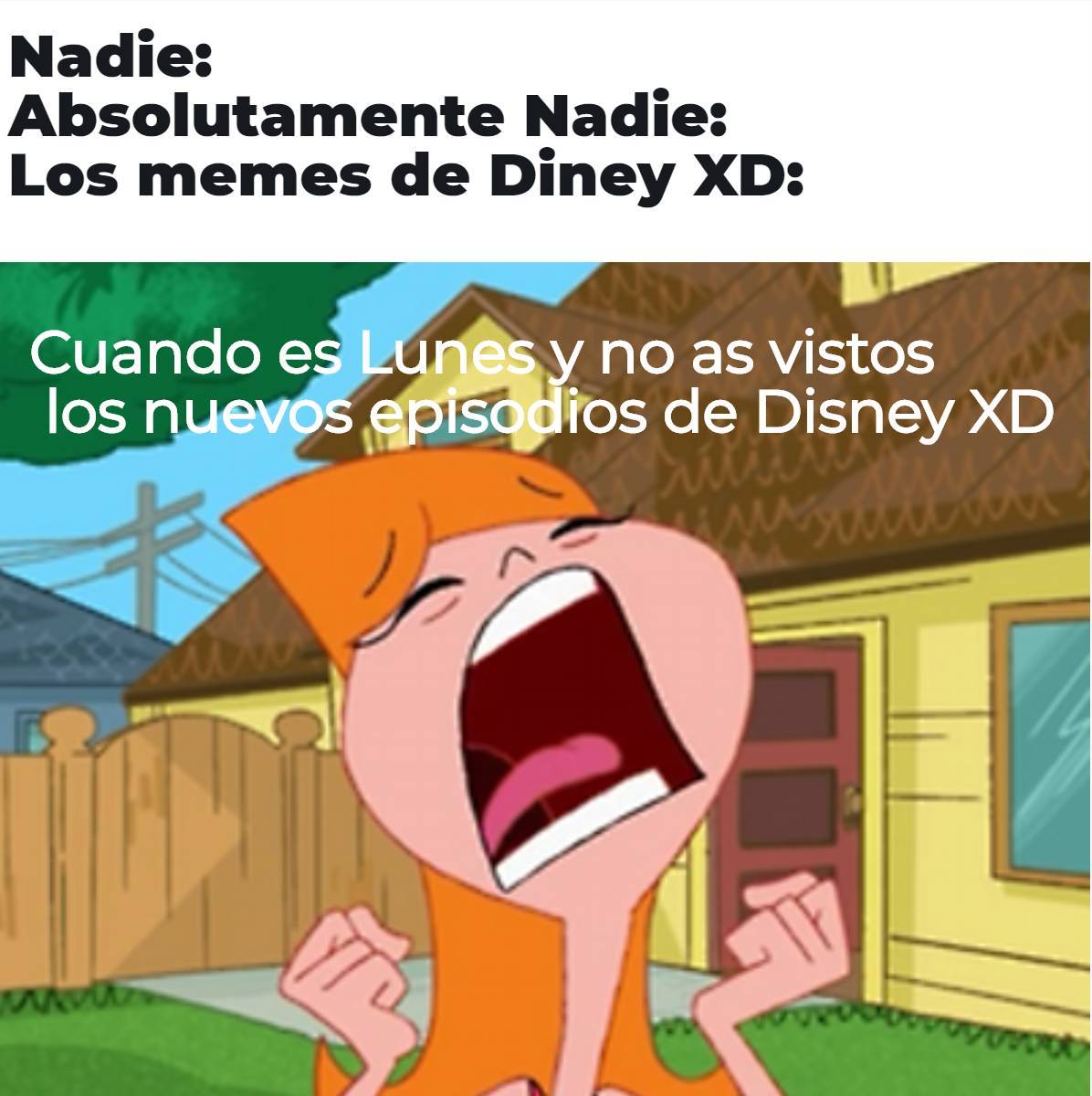 Disney deja de hacer memes