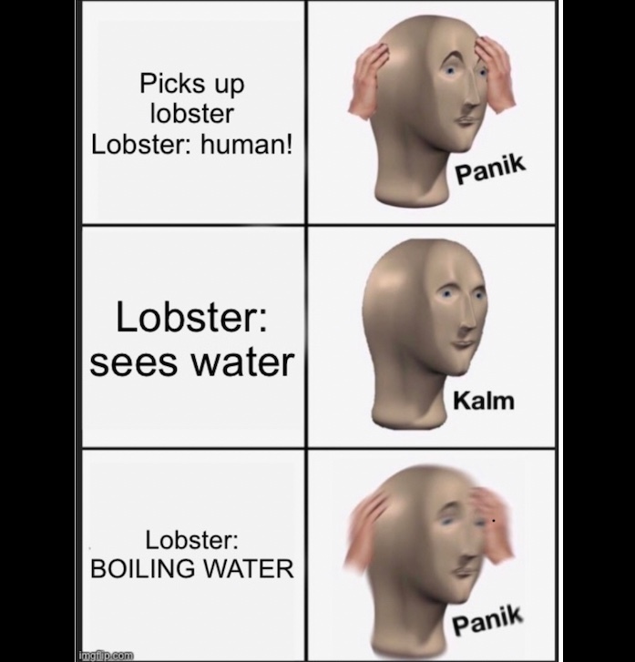 lobster: turns red cause embarrassed - meme