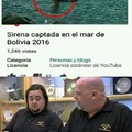 la sirena parece creíble pero el mar de Bolivia?