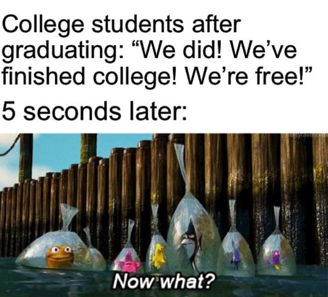 finding nemo moment that represents life after college - meme