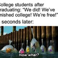 finding nemo moment that represents life after college