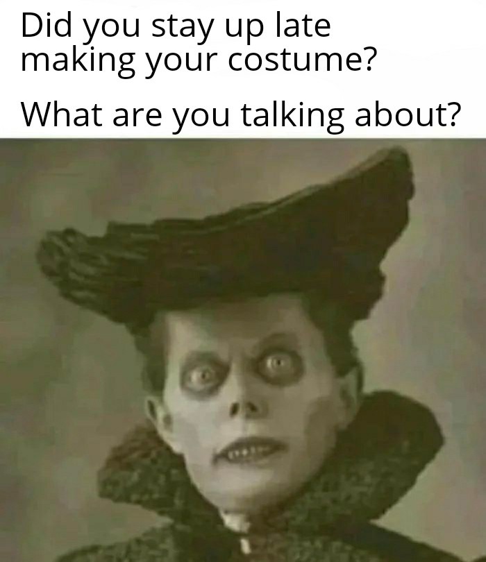 Cool costume, how'd you make it? - meme