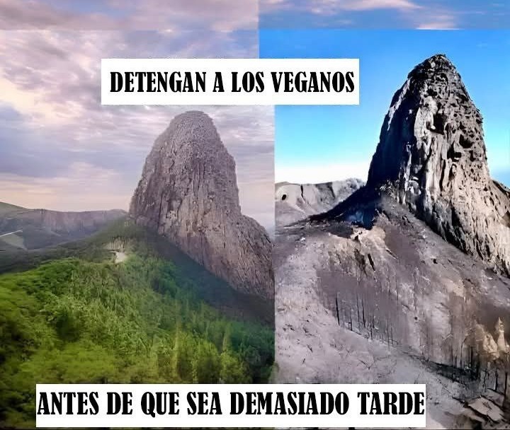 Paren a los veganos antes de que cruce una línea - meme