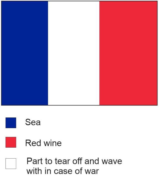 Useful flag for emergencies - meme