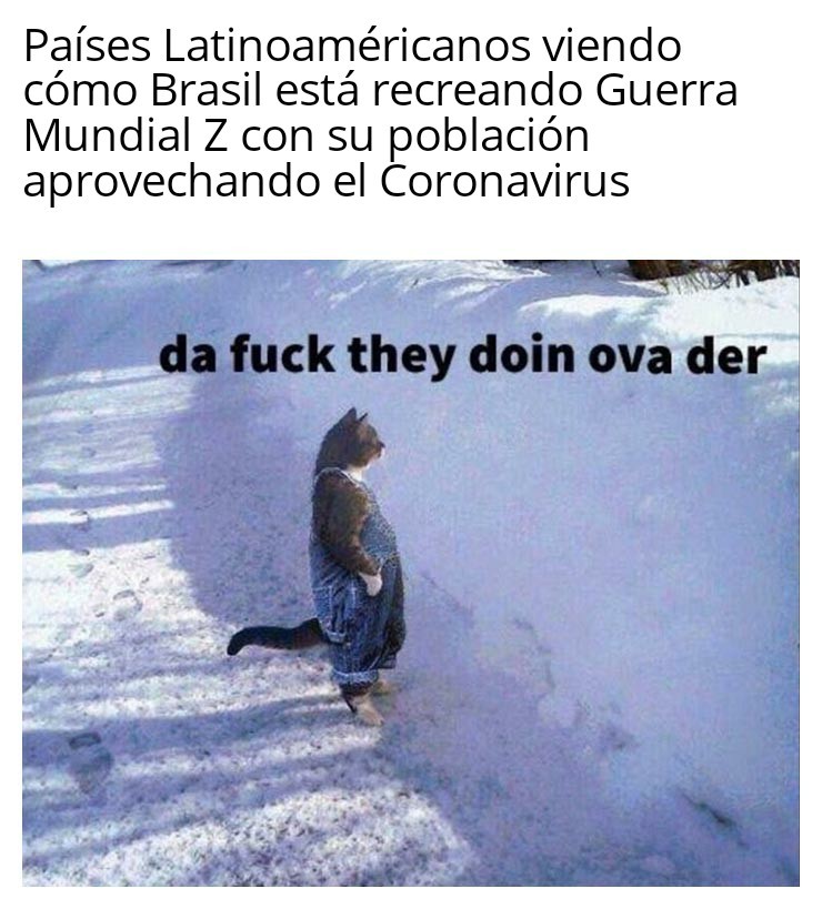 Brasil y el Coronavirus - meme