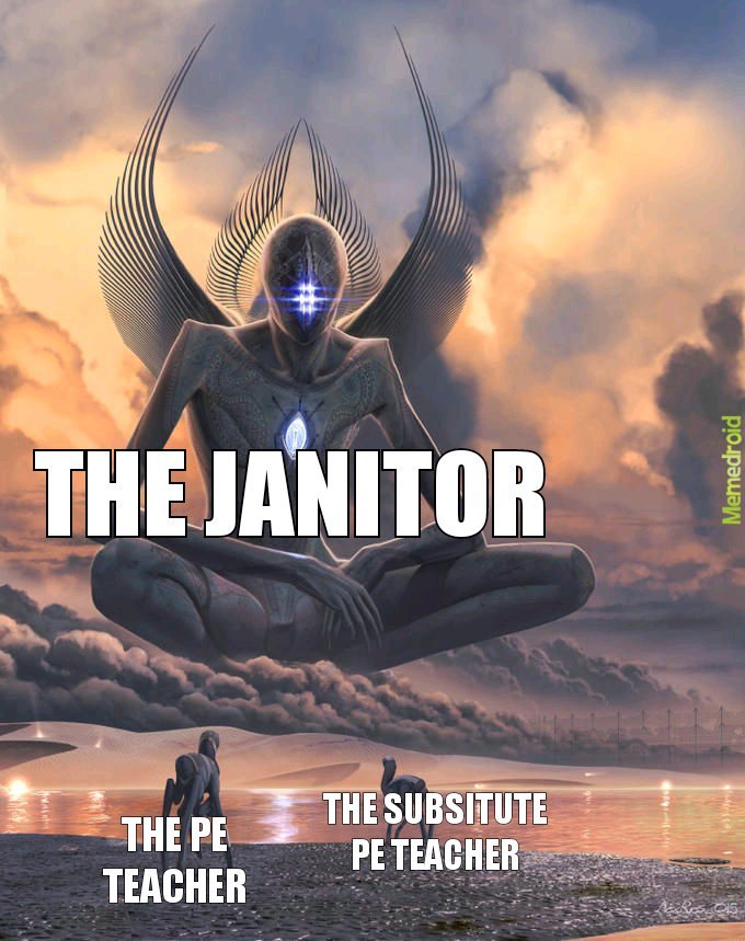 Janitor stronk - meme