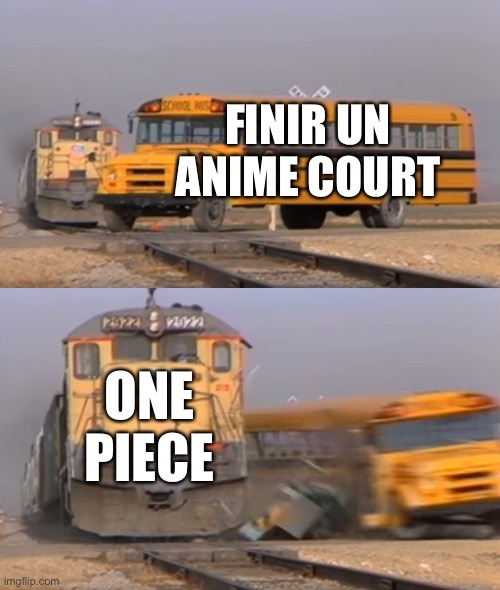 One piece c’est long - meme