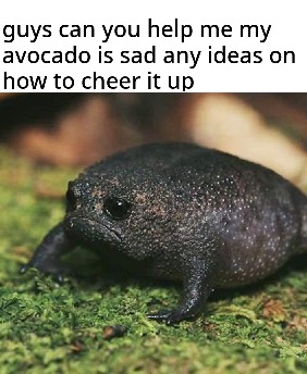 grumpy avocado - meme