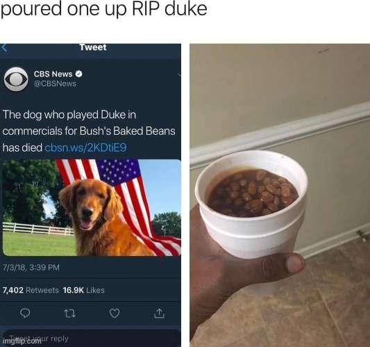 The dog who played Duke in commercials has died - meme