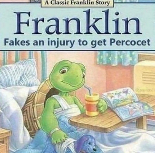 I like turtles - meme