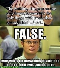 False - meme