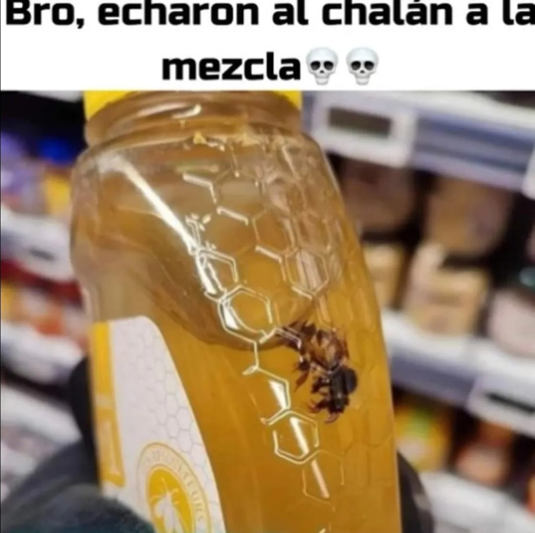 Xd - meme