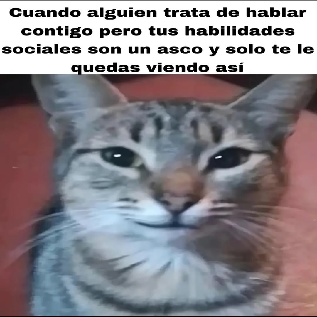 cuando intentan hablarme y mi cerebro social está apagado - meme