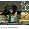 Drunkle crow?