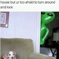 Alien vs Doggo