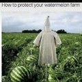 When your sick of people stealing your watermelon farm