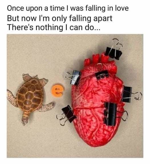 Turtle E Clips of the heart - meme