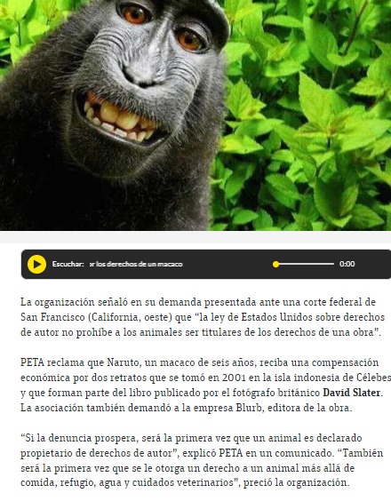 Contexto: PETA demandó a un hombre por usar una foto que tomó uno de sus simios por accidente XDDD. PD: Noticiasdroid, lo sé. - meme