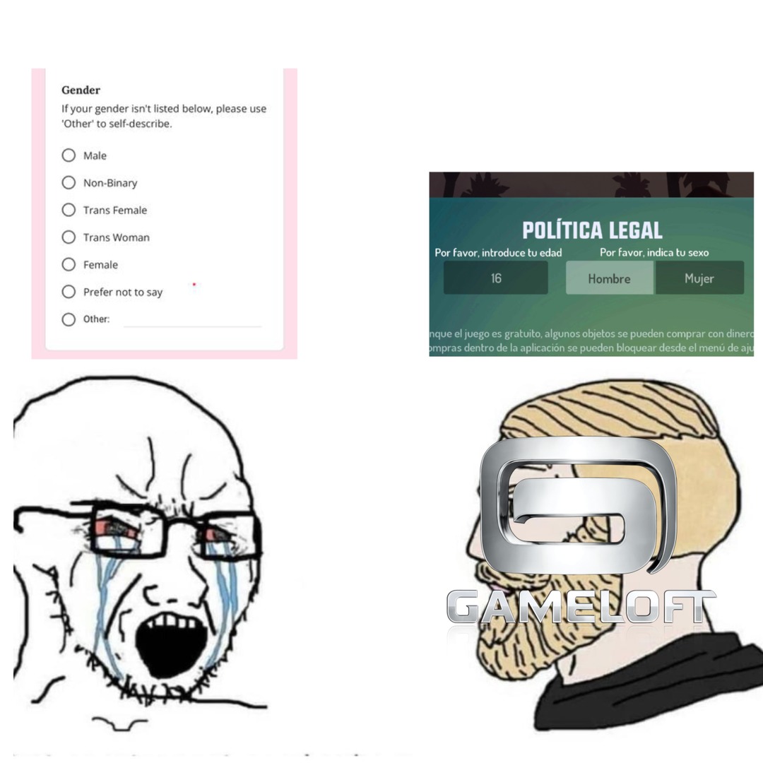 Me gustaba cuando solo elegías si eras hombre o mujer y no cambiaba nada - meme