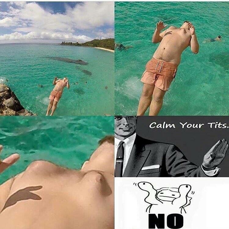 Calm your tits please.... - meme