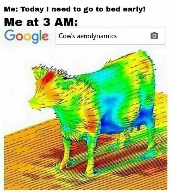 Cow aerodynamics - meme