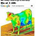 Cow aerodynamics