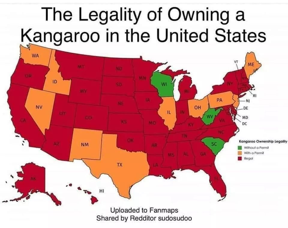 My home state only requires a permit yeet. The stat I currently reside in it is fully legal double yeet - meme