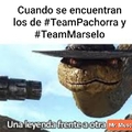 #TeamPachorra