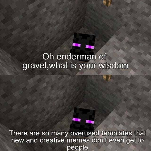 Oh enderman of gravel, what is your wisdom - meme
