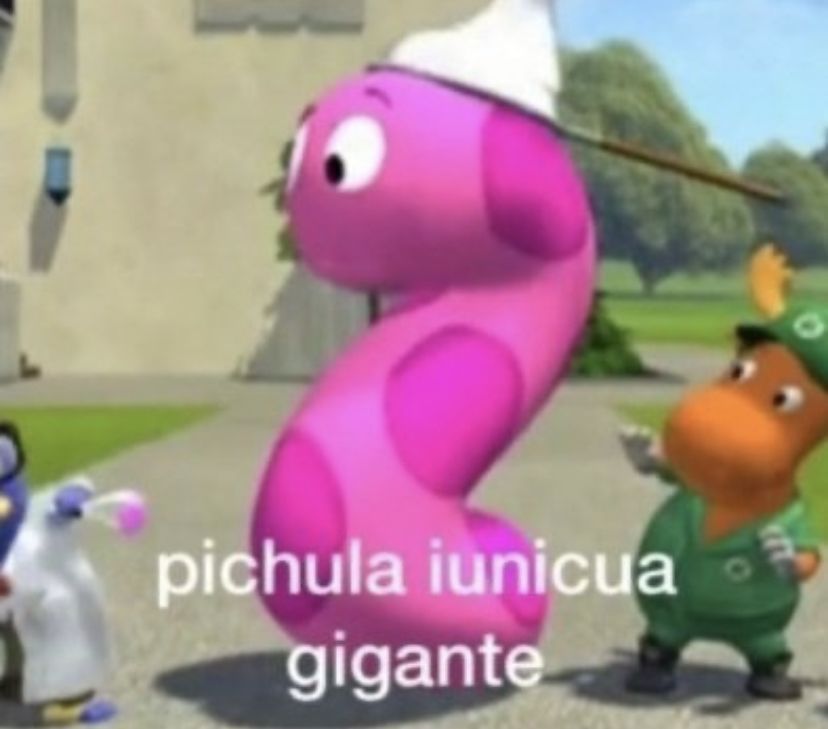 Pichula uniqua gigante - meme