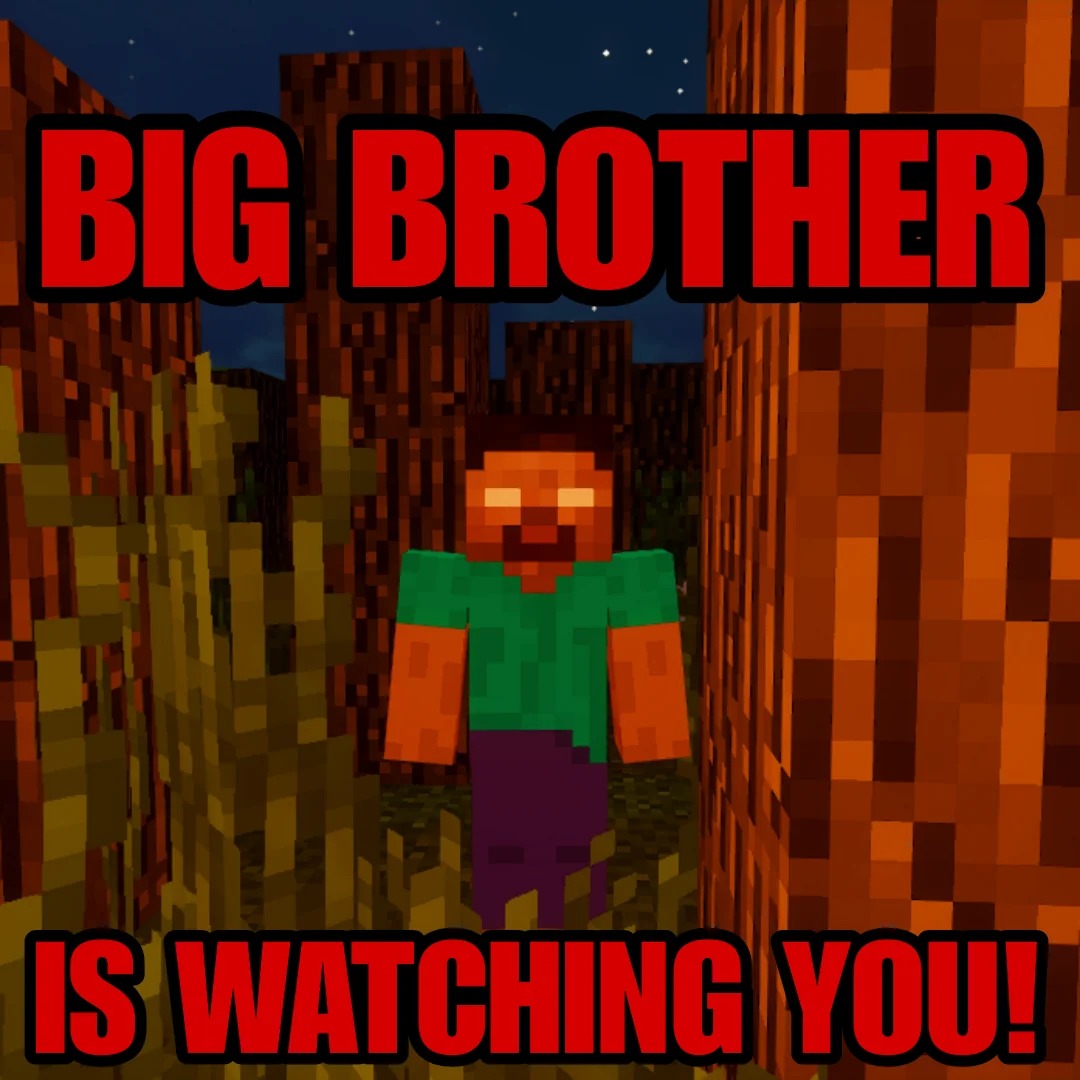 Big brother is watching you - meme
