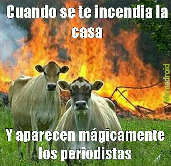 Meme